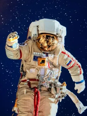 Сверхвысокая кухня: что может быть на столе космонавтов в новогоднюю ночь |  Статьи | Известия