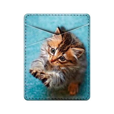 Чехол Awog на Samsung Galaxy A01 Core / Самсунг A01 Core \"Подмигивающий  котенок\", купить в Москве, цены в интернет-магазинах на Мегамаркет