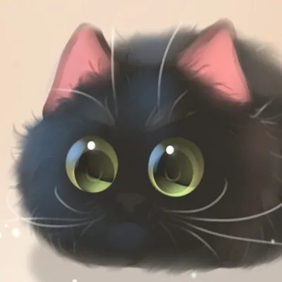 Так, и гае я припарковала свою тачку? / котёнок :: няшка :: няша (Фото и  рисунки милых девушек привлекательной наружности - настоящие няши) :: кавай  :: кот :: котэ (прикольные картинки с