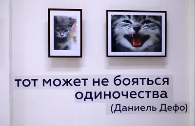 Мягкая игрушка Котик Няшка 1: купить Мягкие игрушки BabyToys в Украине