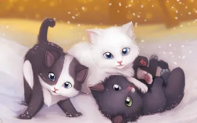 милый котик 😸 #котики #кот #милашки #няшки | TikTok