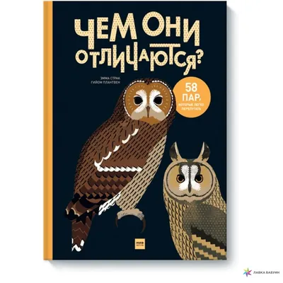 18 модных вещиц, которые легко могут привести в замешательство