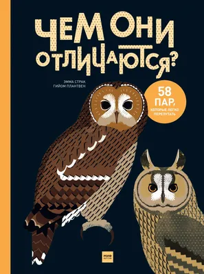 Книга Чем Они Отличаются? 58 пар, которые легко перепутать - купить  самоучителя в интернет-магазинах, цены на Мегамаркет | 630936