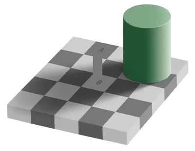 Оптические иллюзии: почему одни и те же изображения все видят по-разному |  WDAY