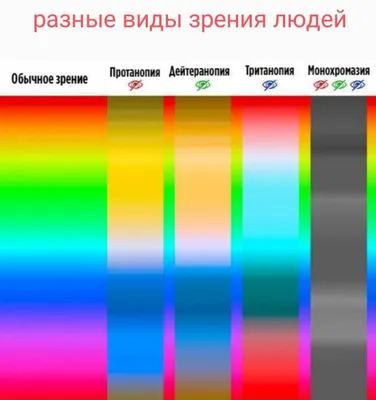 Оптические иллюзии: почему одни и те же изображения все видят по-разному |  WDAY