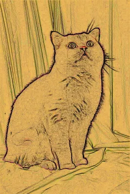 Кото-арт: картинки, рисунки, графика, фото кошек - art cats-3