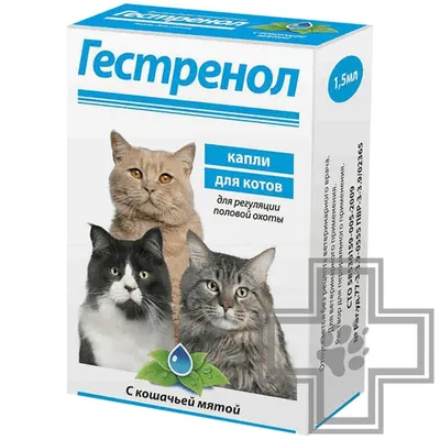 Купить Сухой корм Purina ONE® для стерилизованных кошек и котов с лососем и  пшеницей, пакет, 1,5 кг -официальный интернет-магазин Purina