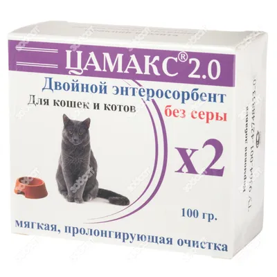 Потратила 700 рублей на курсы». Владельцы роскошных котов о тратах