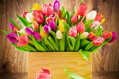 Какие цветы лучше всего дарить на 8 марта? - Газета «Огни Алатау»