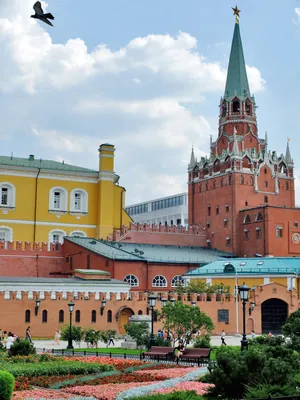 Под проект снесли две башни Кремля». Как невероятные задумки архитекторов  могли изменить Москву? - Мослента