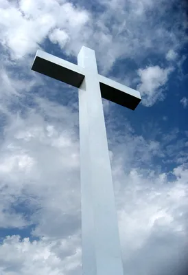 Нательный крест из черного дерева и серебра Александр Невский - JORDARI