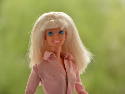 Barbie Набор кукол Барби и Кен DLH76 – YOYO