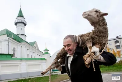 С праздником \"Курбан-байрам\"!