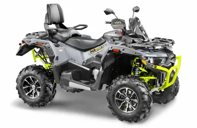 Купить Квадроциклы квадроцикл stels atv guepard 650 te 2.0 в Москве по цене  1 070 000 р.