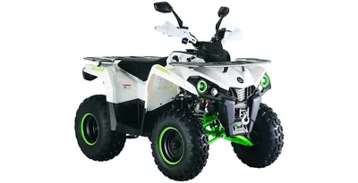 Квадроцикл STELS ATV 650YL EFI LEOPARD купить выгодно