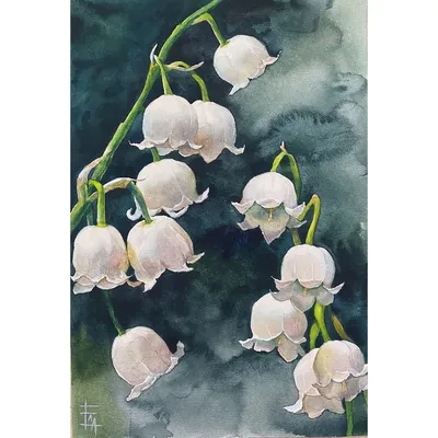 Ландыши с корнями \"Летнее утро\" — купить ландыши в интернет магазине  Flork.ru с доставкой за 13 800 руб.