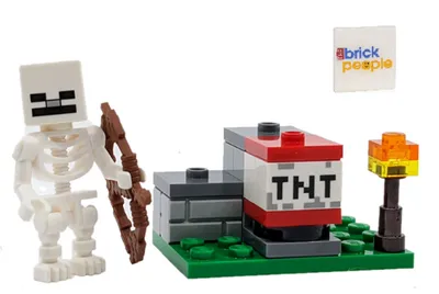 LEGO Minecraft: The Training Grounds - Imagination Toys