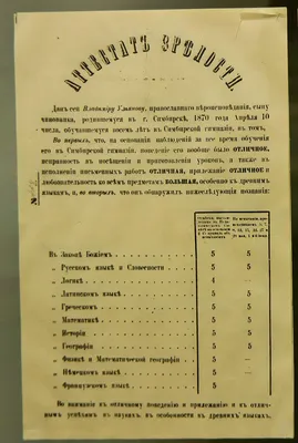 Покушение на Ленина в 1918 году в Москве: кем была Фанни Каплан и кто за  ней стоял: Преступная Россия: Силовые структуры: Lenta.ru