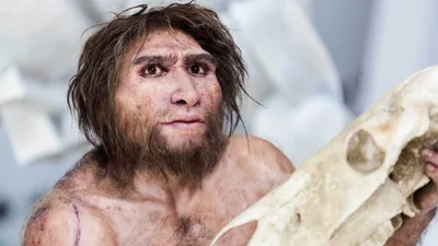 Поиск фотографий людей и питомцев и обозначение их на фотографиях в  приложении «Фото» на Mac - Служба поддержки Apple (RU)