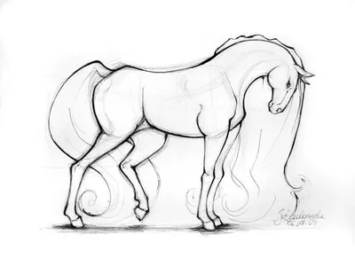 Рисунки животных легкие лошади (45 фото) » рисунки для срисовки на  Газ-квас.ком