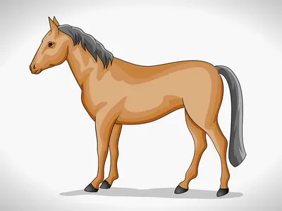 Рисунки лошадей для срисовки еда (28 шт)