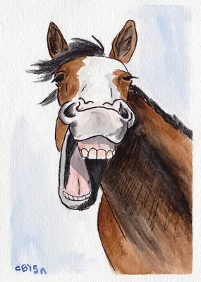 Картинка лошадь на пробежке ❤ для срисовки