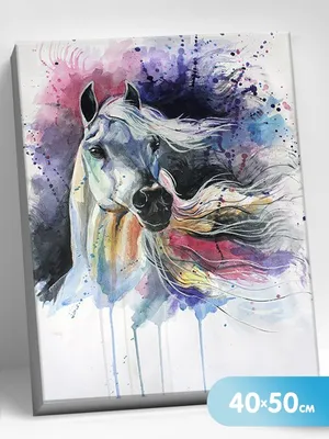 Картинка эскиз лошади ❤ для срисовки