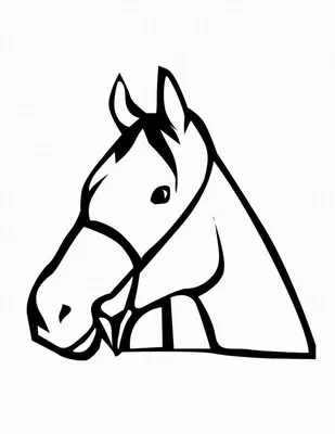 Картинка лошадь ❤ для срисовки
