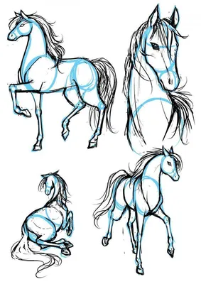 Как нарисовать лошадь поэтапно: легкий мастер-класс для начинающих, как  красиво нарисовать карандашами и красками лошадь (105 фото)