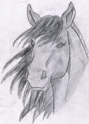 Картинки лошадей для срисовки (32 фото) 🔥 Прикольные картинки и юмор
