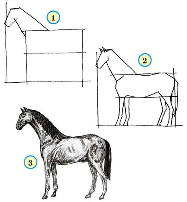 Как нарисовать лошадь | Рисование для детей | рисунки для срисовки легкие  для девочек мальчиков - YouTube