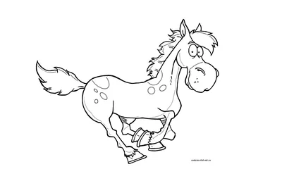 Рисунок контурный лошадь (41 фото) » рисунки для срисовки на Газ-квас.ком