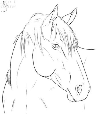 Рисунок лошади карандашом для срисовки - 56 фото