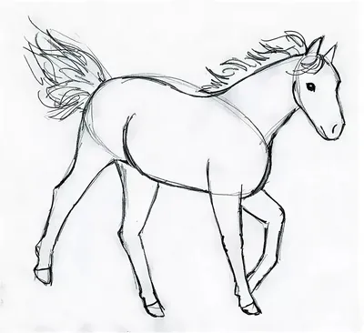 Картинка серая лошадь на дыбах ❤ для срисовки