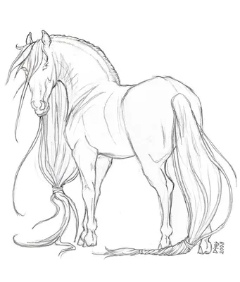 Рисунки лошадей для срисовки (100 фото) • Прикольные картинки KLike