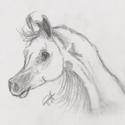 Манекен лошади, темное дерево, 30 см (Артикул: DK16521) — купить за 7153р.  в интернет-магазине Арт-Квартал