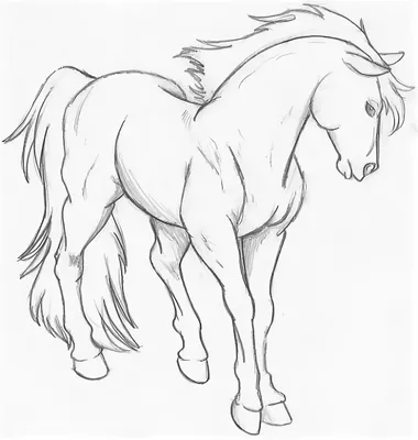 Рисунки лошади легкие для срисовки - 60 фото
