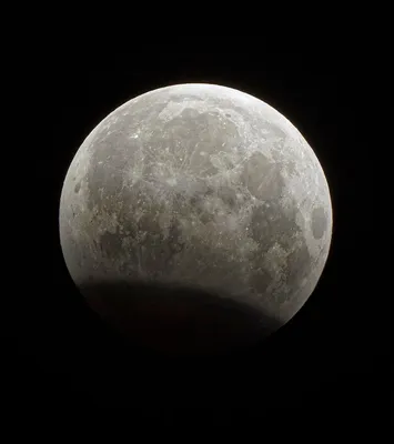 Снимок из 280 000 отдельных фотографий: такой четкой Луну видели только  астронавты (фото)