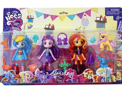 Куклы HASBRO B1070 Май Литл Пони. Девочки Эквестрии. Кукла со зверюшкой (в  ассорт.), купить в Киеве | цена, отзывы | Palladium