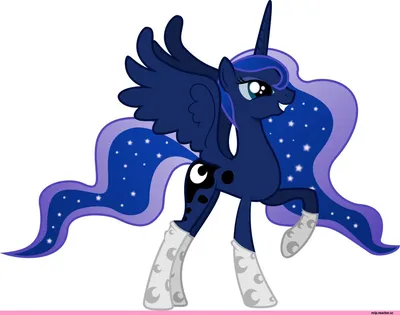 Носочки)) / Princess Luna (принцесса Луна) :: mlp art :: royal :: my little  pony (Мой маленький пони) / смешные картинки и другие приколы: комиксы, гиф  анимация, видео, лучший интеллектуальный юмор.