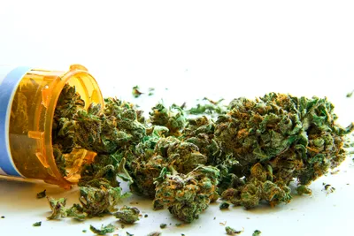 Легализация медицинской марихуаны может помочь ветеранам АТО – экс-боец  \"Айдара\"