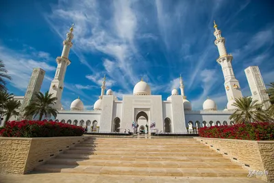 Фоторепортаж из самой дорогой мечети в мире - туристический блог об отдыхе  в Беларуси