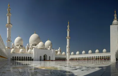 Разнообразие мечетей мира