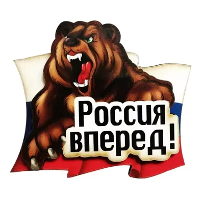 Картина на холсте для интерьера - Россия СВО шеврон z, русский медведь,  военный камуфляж 30х40 см - купить по низкой цене в интернет-магазине OZON  (1091860378)