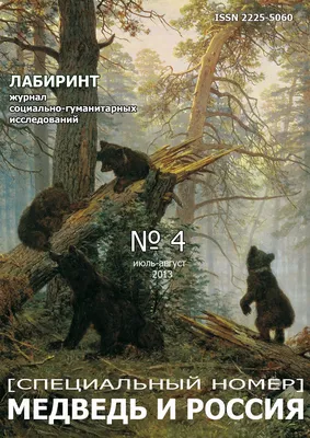 Бурый медведь изолированный на белизне, Сибирь - Россия Стоковое Фото -  изображение насчитывающей пепельнообразные, черный: 60660176
