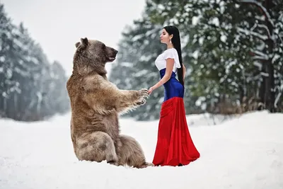 Сибирь,идущий медведь на фоне елей в синем цвете, Россия, любовь, винтаж,  иллюстрация Illustration Stock | Adobe Stock