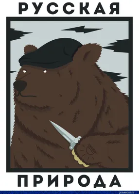 Почему и как медведь стал символом России? Объясняю просто | Этобаза | Дзен