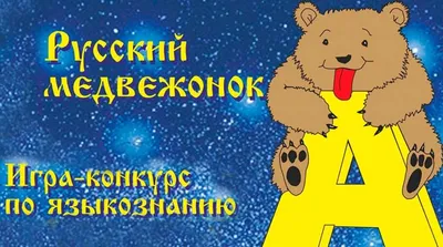 Медвежонка в Европе стоковое фото. изображение насчитывающей природа -  161190538
