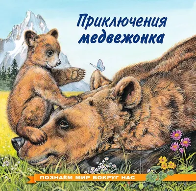 В Башкирии ветеринары спасли медвежонка, которого сбил автомобиль | Природа  | ОБЩЕСТВО | АиФ Уфа