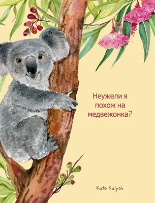 В Арктике обнаружили третьего за осень одинокого белого медвежонка